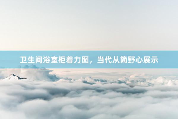 卫生间浴室柜着力图，当代从简野心展示