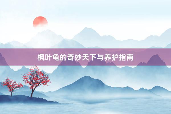 枫叶龟的奇妙天下与养护指南